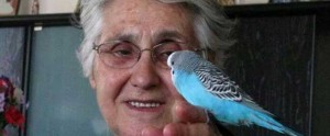 erdal eren