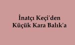 İnatçı Keçi'den Küçük Kara Balık'a