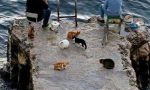 ortopedik gülünmeli periyodik dertlere