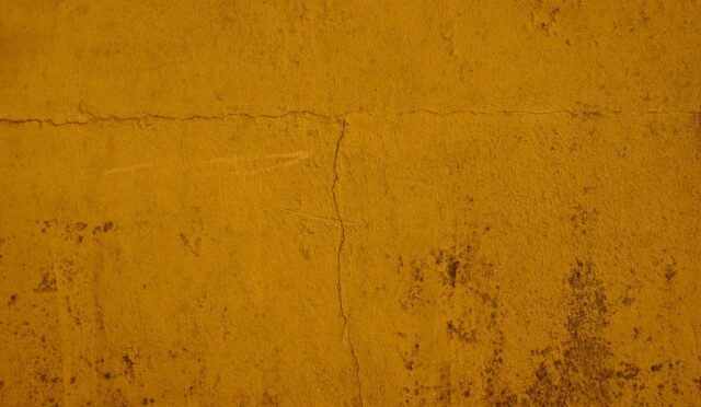 Öykü: Kapıdan Çıkan Kim?