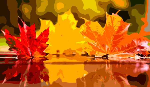 Saçımın Halleri ve Sonbahar