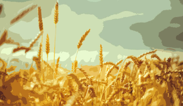 Şiir: Tedavülden Kaldırılmış