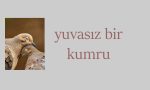 yuvasız bir kumru