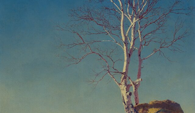 Şiir: herkese belki kimseye