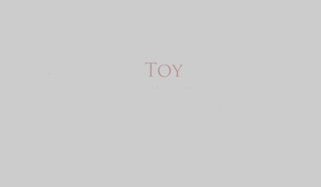 Toy