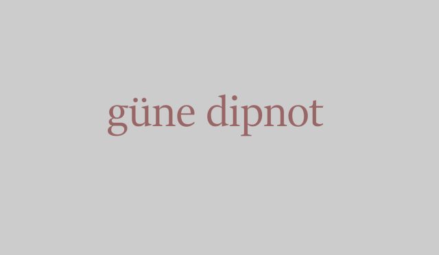 güne dipnot