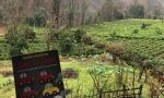 Aykız'ın Kalbi