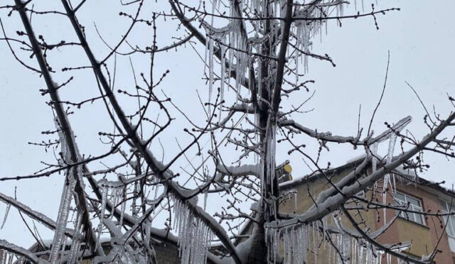 Varılamayan Yol: Kar, Cemre, Anlam