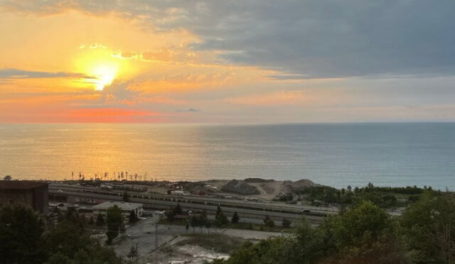 Temmuz Mektubu