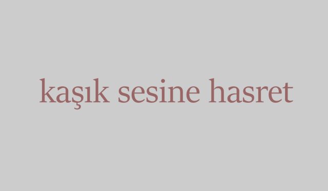 kaşık sesine hasret-1