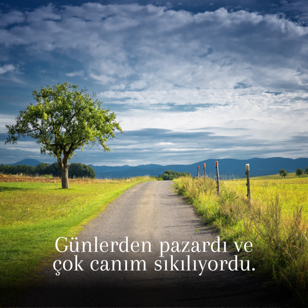 Günlerden Pazardı