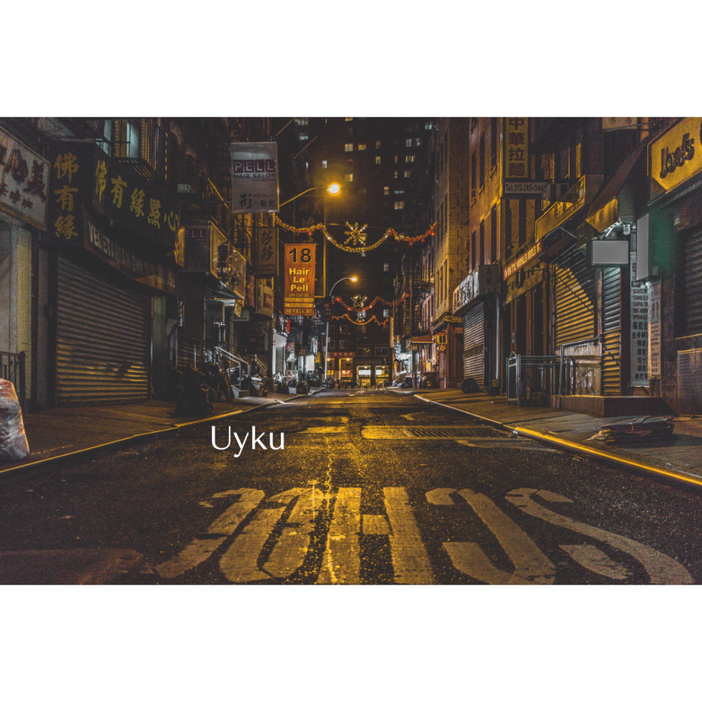 uyku