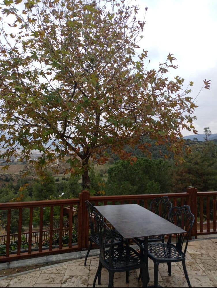 Sâkit